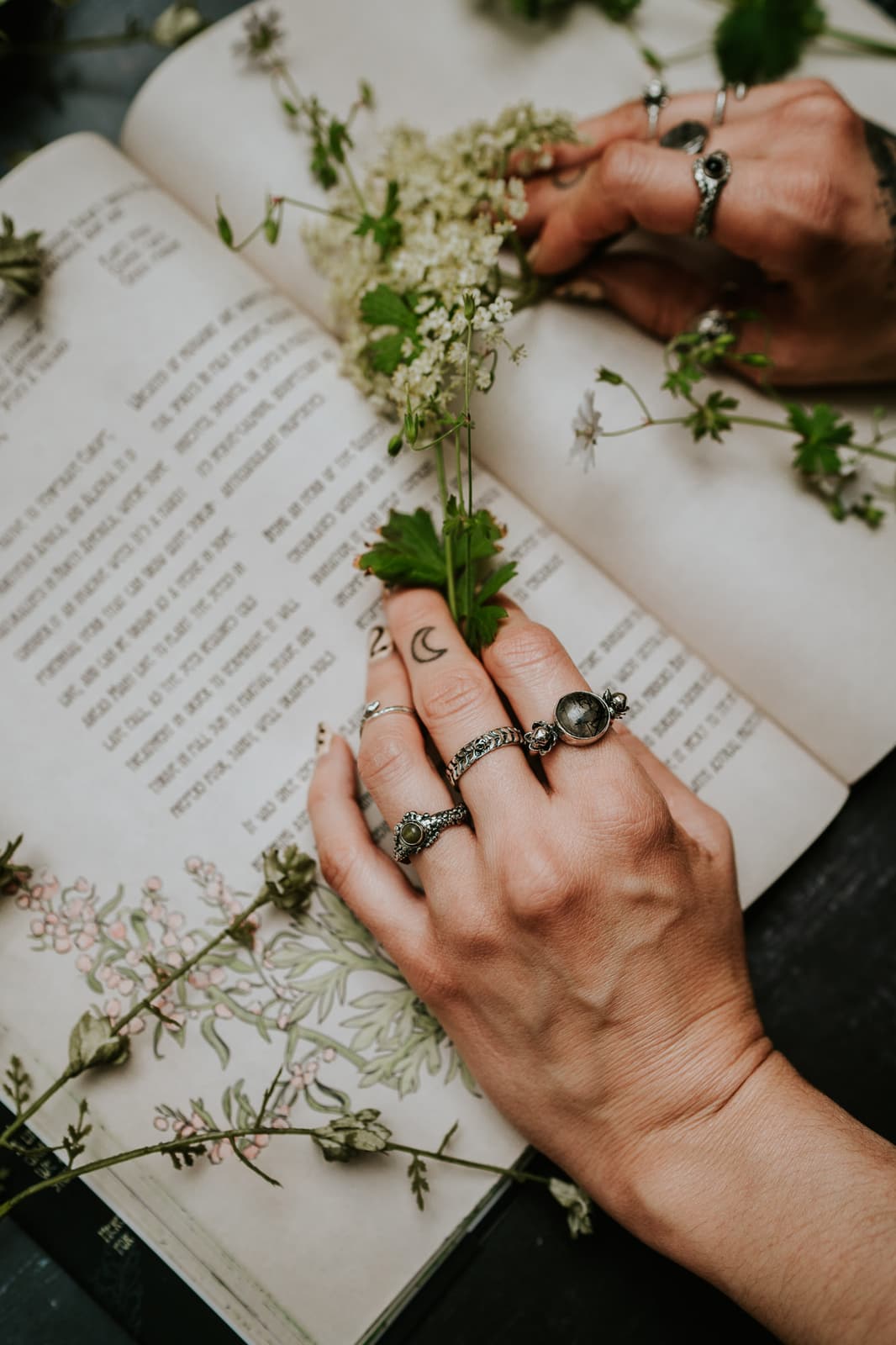 Branding photos for bonearrow jewelery collection of poisonous plants