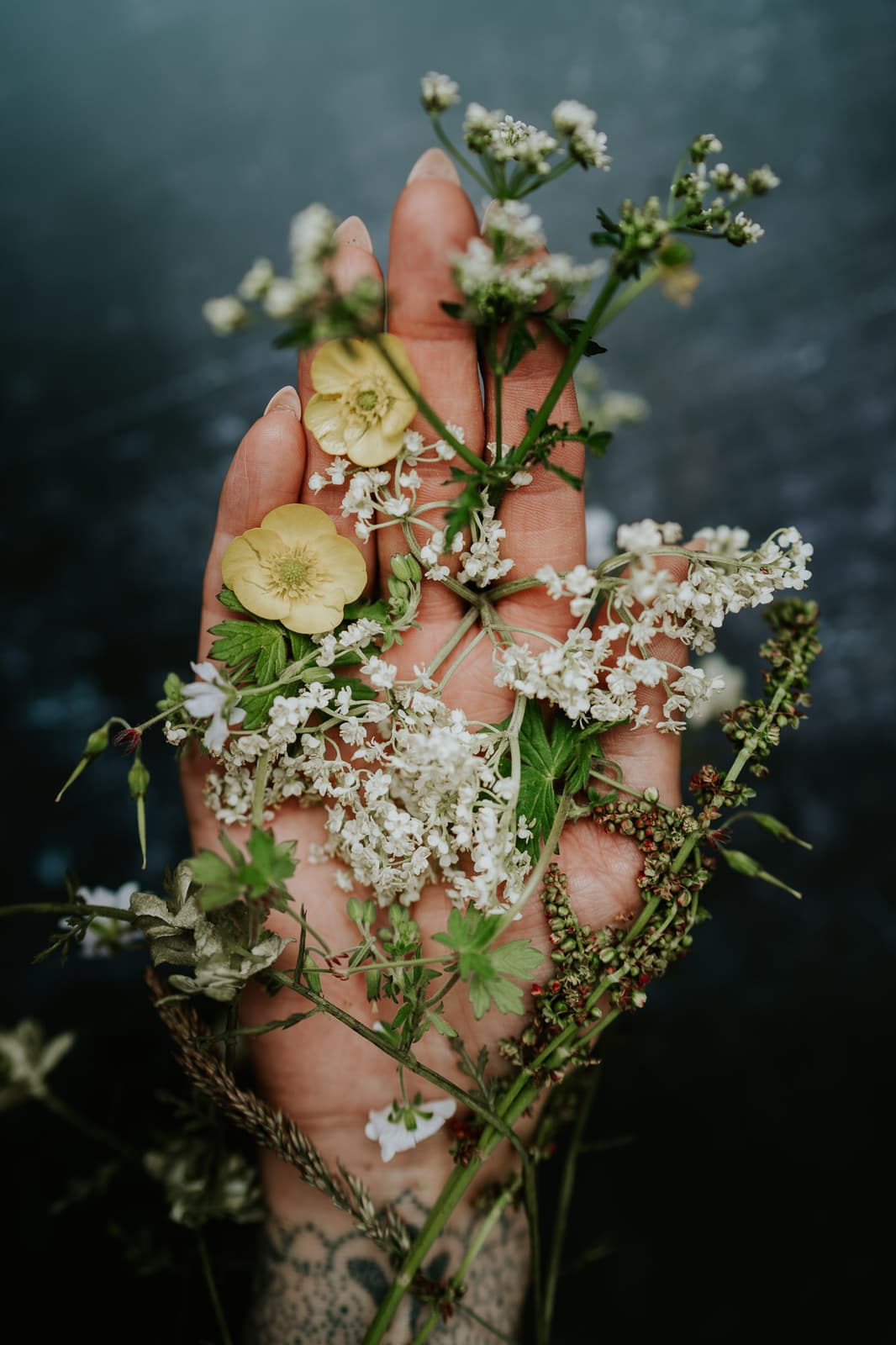 Branding photos for bonearrow jewelery collection of poisonous plants